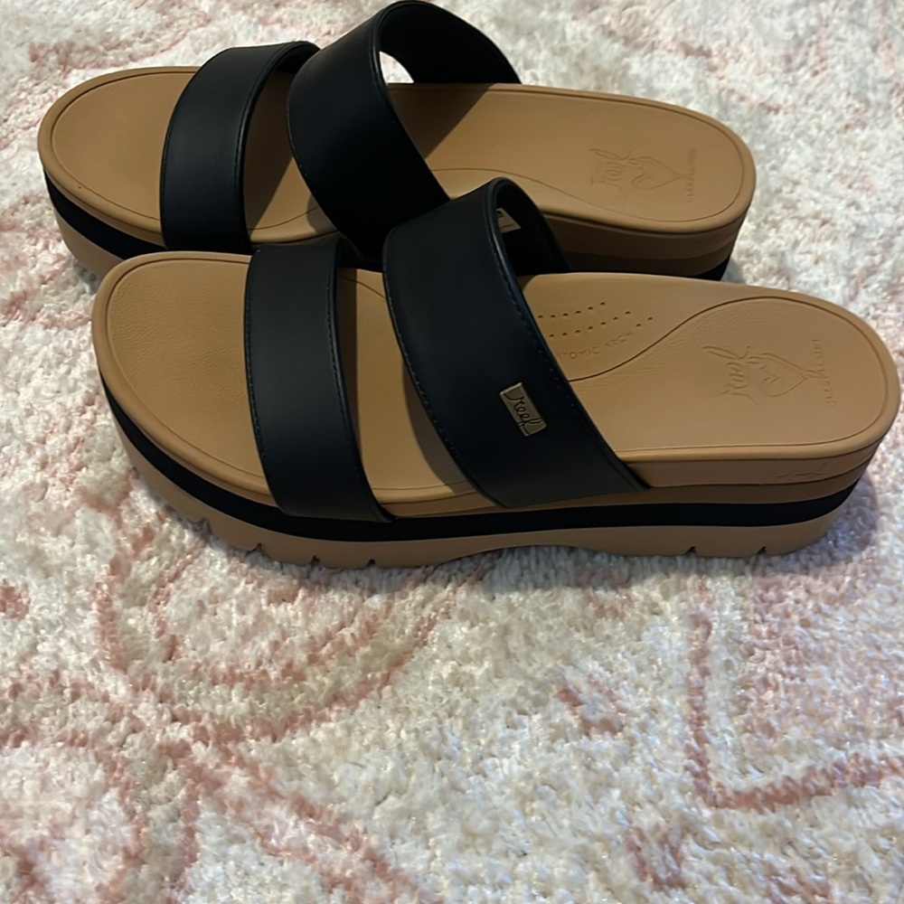 🪸 REEF- Cushion Vista Platform